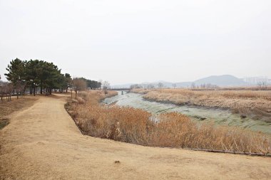 Siheung gaetgol ekolojik parkı Kore