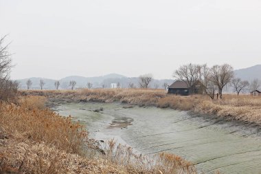Siheung gaetgol ekolojik parkı Kore