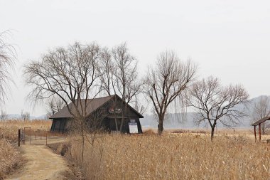 Siheung gaetgol ekolojik parkı Kore
