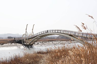 Kore 'de bir ekoloji parkı.