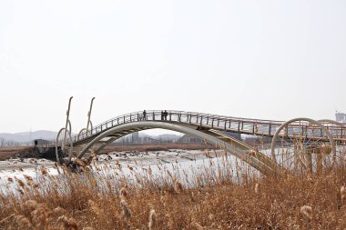 Kore 'de bir ekoloji parkı.