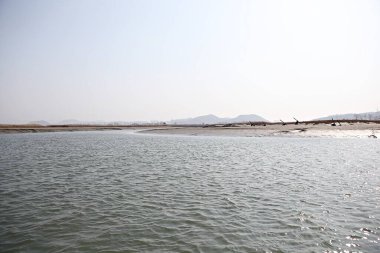  Kore 'de bir ekoloji parkı.