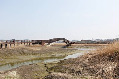 Kore 'de bir ekoloji parkı.