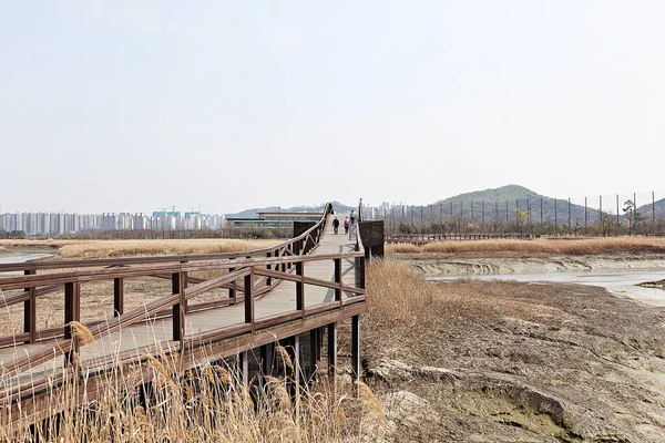 Jest Ekologiczny Park Korei — Zdjęcie stockowe