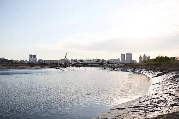 韓国の生態公園です — ストック写真