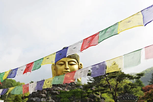 Dies Sind Koreanische Tempel — Stockfoto