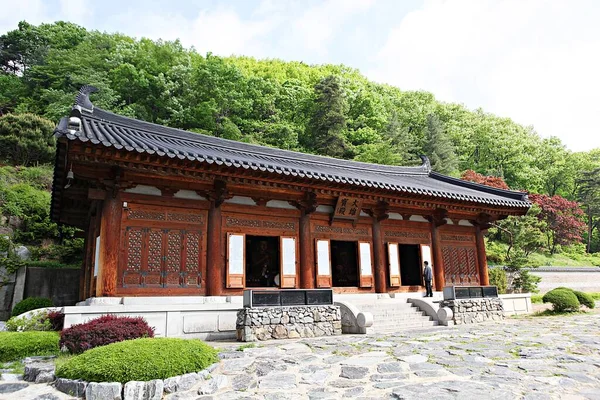 Estos Son Templos Coreanos — Foto de Stock