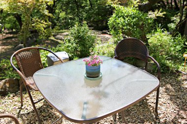  Kore parkında bir çiçek..