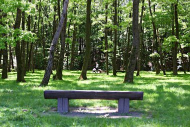 Burası bir Kore parkı.