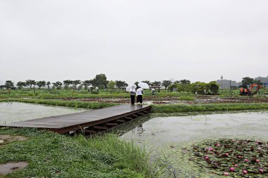Kore parkında bir çiçek..