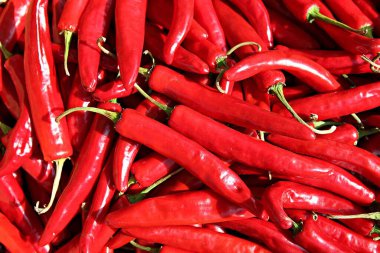  Bunlar Kore gıda ekinleri.