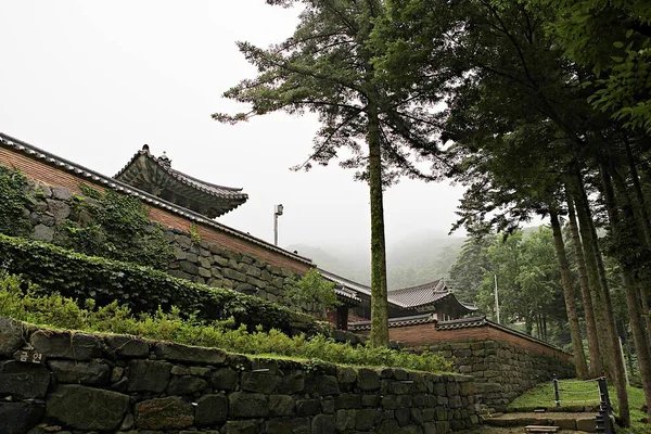 韓国にある仏教寺院で — ストック写真