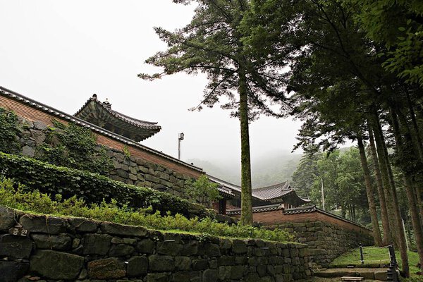  its a buddhist temple in korea