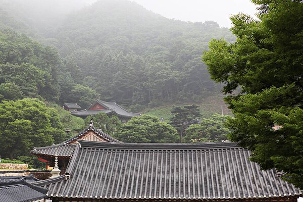  its a buddhist temple in korea