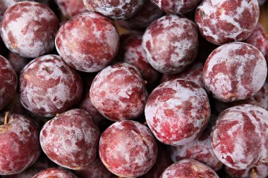  Bu bir kron meyvesi..