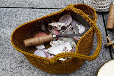 balık ağı ve balık ağı