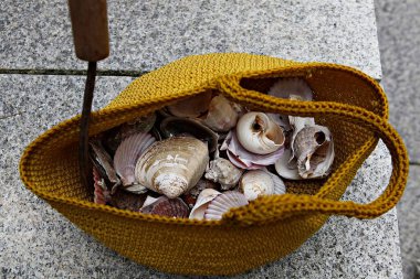 Taze mantarlarla dolu bir sepet.