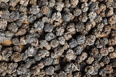 kuru siyah tütün yaprağı arkaplan dokusu