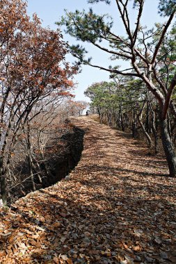 Parkın güzel manzarası