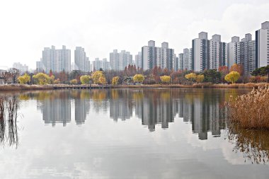 Sabahları parkın manzarası.