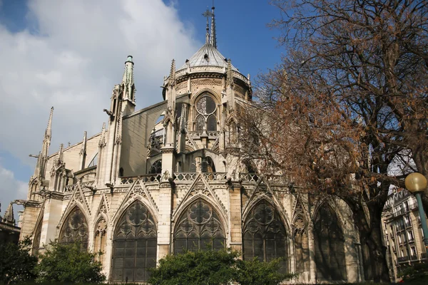 Katedrála notre dame de paris, Francie — Stock fotografie