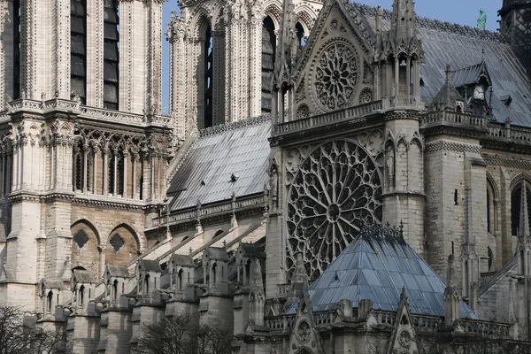 Katedrála notre dame de paris, Francie — Stock fotografie