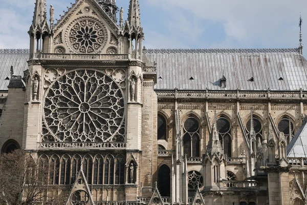 Catedral de Notre Dame de Paris, Francia — Foto de Stock