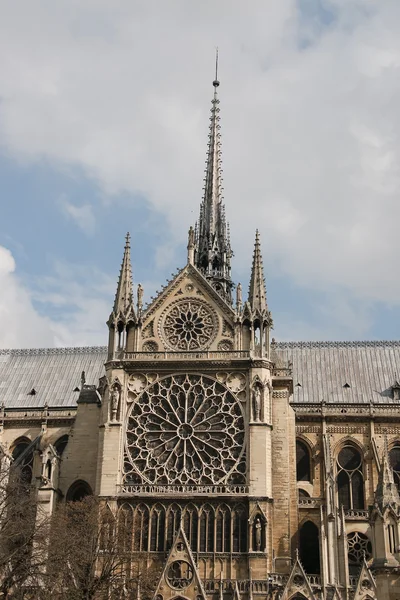 Katedrála notre dame de paris, Francie — Stock fotografie