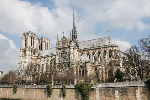 Cathédrale Notre Dame de Paris, France — Photo