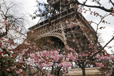 Eyfel Kulesi Tour Eiffel, Paris, Fransa, Avrupa. Ünlü seyahat ve Turizm kutsal kişilerin resmi vasıl gündüz bahar mavi gökyüzü ile görünümünü,