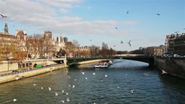 Paris - Fransa, 22 Mart 2016: Pont de Paris, Fransız cityscape Seine üzerinde