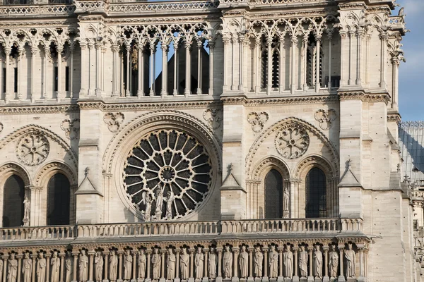Detalii arhitecturale ale Catedralei Notre Dame de Paris . — Fotografie, imagine de stoc