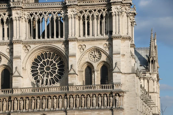 Detale architektoniczne, Katedra notre Dame de paris. — Zdjęcie stockowe