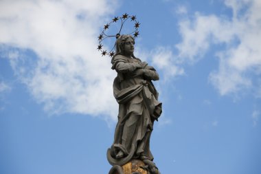 Slovakya, Kosice. Main Street. Immaculata heykeli. Şehir manzarası.