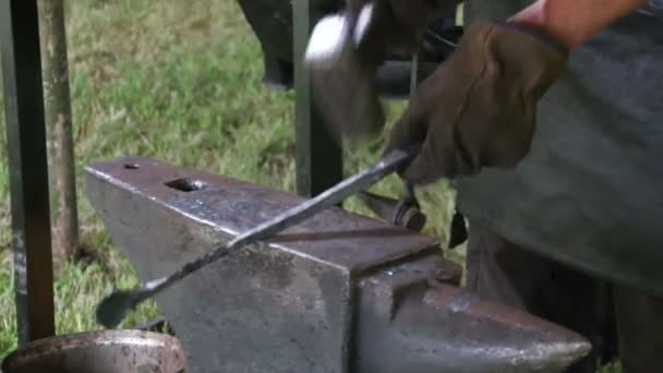 Blacksmith working on metal on anvil at forge — Stock Video