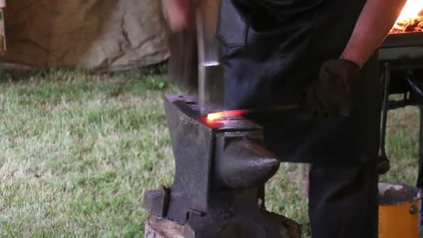 Blacksmith working on metal on anvil at forge — Stock Video