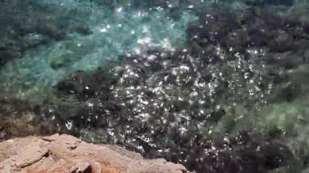 투명 한 푸른 물에 밝은 하이라이트의 배경. — 비디오