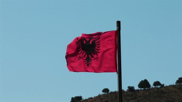Флаг Албании развевается на ветру . — стоковое видео