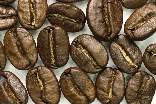 Coffee beans close-up. Macro. — Stock Photo, Image