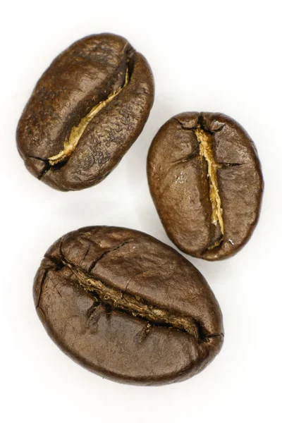 Three coffee beans — Stock Photo, Image