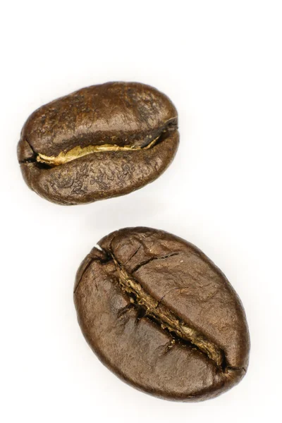 Two coffee beans — Stock Photo, Image