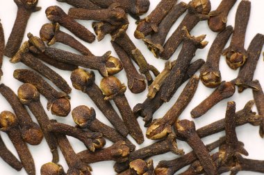 Baharatlı karanfil tohum yakın çekim. Makro.