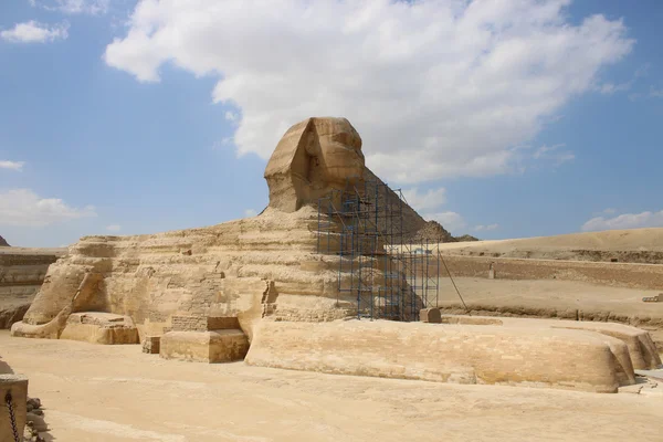 Sphinx on the restoration. Giza Egypt. — Stock Photo, Image