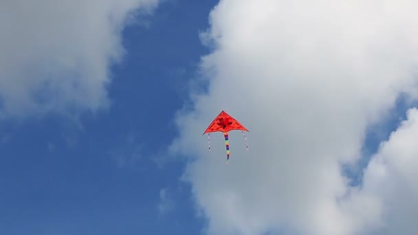 Drakflygning i den blå himlen med moln. — Stockvideo