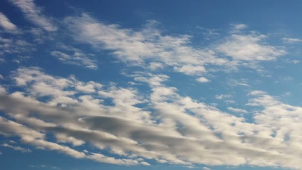 Cielo azul con primer plano de nubes — Vídeo de stock