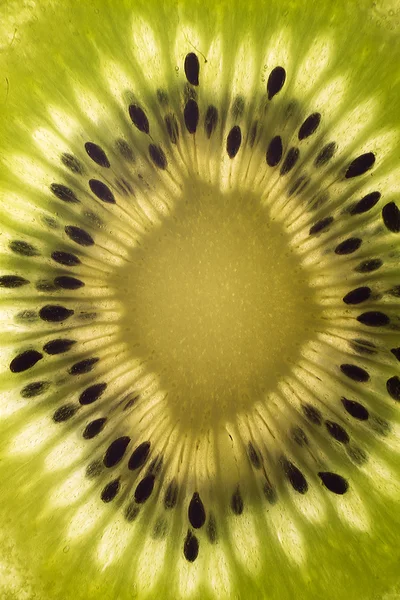 Macro shot d'une tranche de kiwi . — Photo