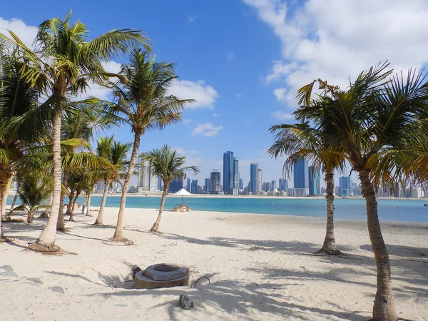 DUBAI, UAE - FEBRUARY 02, 2014 Palms, beach and skyscrapers in Dubai marina — Stock Photo, Image