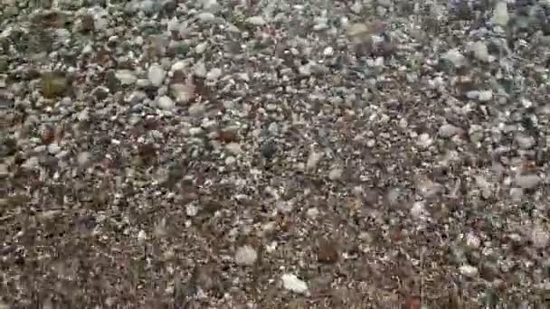 Fondo de las olas transparentes del mar se ejecutan en la hermosa playa de guijarros — Vídeo de stock