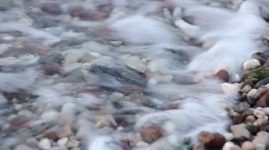 Kaplumbağa bebek denize dökülüyor. Çıralı, Türkiye.