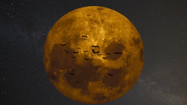 Стая летучих мышей на фоне большой желтой луны — стоковое видео